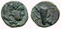 590465.jpg