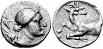 75000374.jpg