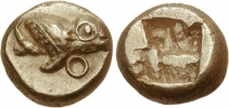 83000186.jpg