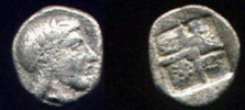 kolophonhemiobol33g.JPG