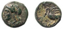 1438.jpg