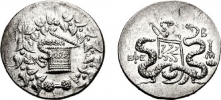 710925.jpg