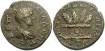 1620256.jpg