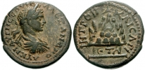 1620257.jpg