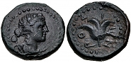 3950286.jpg