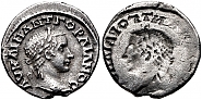 964739.jpg