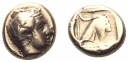 1175949l.jpg